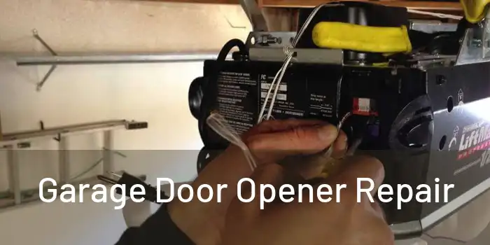  Garage Door Opener Repair 